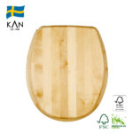 Birch/Nature